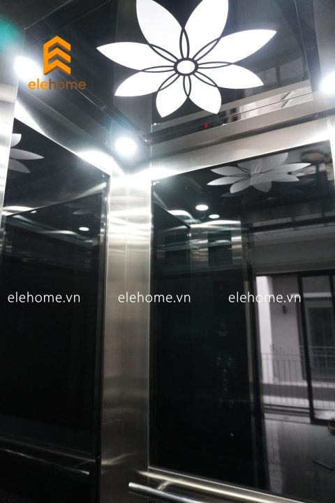 Bí Quyết Chọn Màu Kính Thang Máy: Hài Hòa Phong Thủy và Tôn Lên Đẳng Cấp Kiến Trúc DSC01255